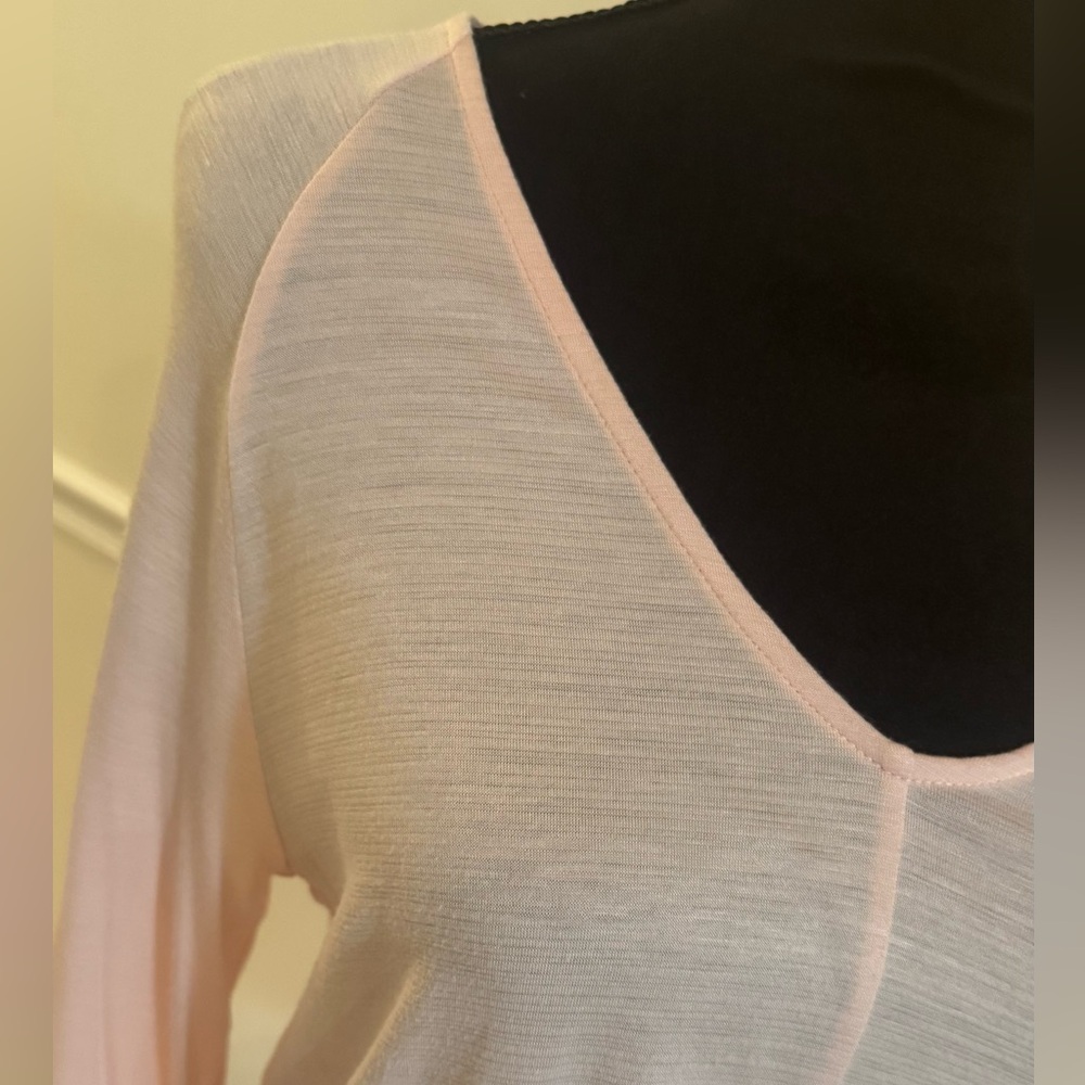 Gap Light Pink Sheer Long Sleeve V-Neck Top – Effortless Everyday Chic (S) - Picture 2 of 4